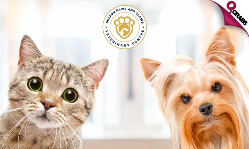 Grooming Services for Cats & Dogs!